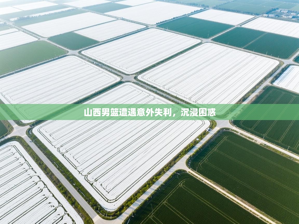 山西男篮遭遇意外失利，沉浸困惑