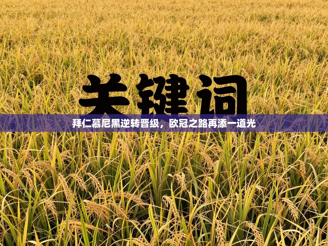 拜仁慕尼黑逆转晋级，欧冠之路再添一道光