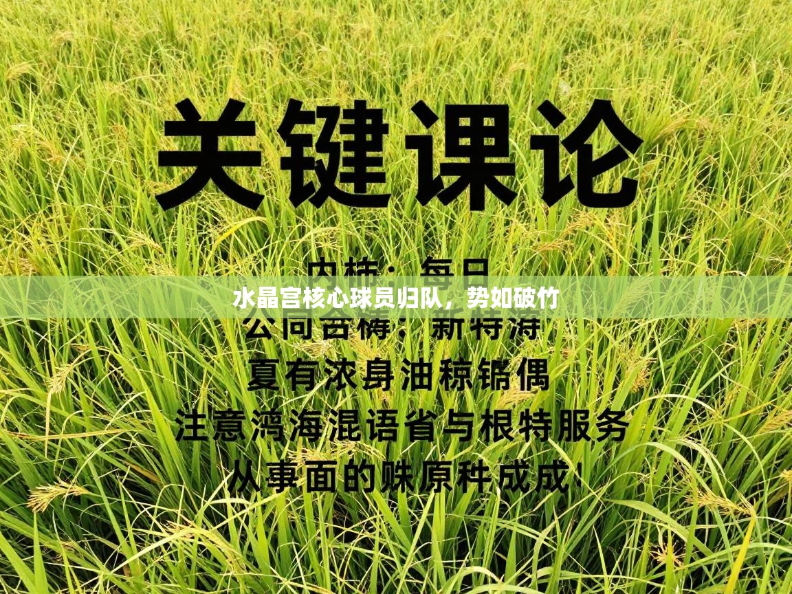 水晶宫核心球员归队，势如破竹