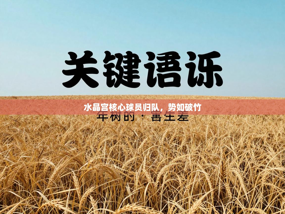 水晶宫核心球员归队,势如破竹 第2张